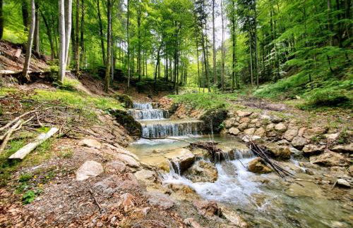 Ferienwohnung See und Sonne - Photo 22