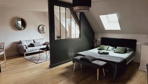 Appartements Domaine Gueguen Chablis - Foto 4