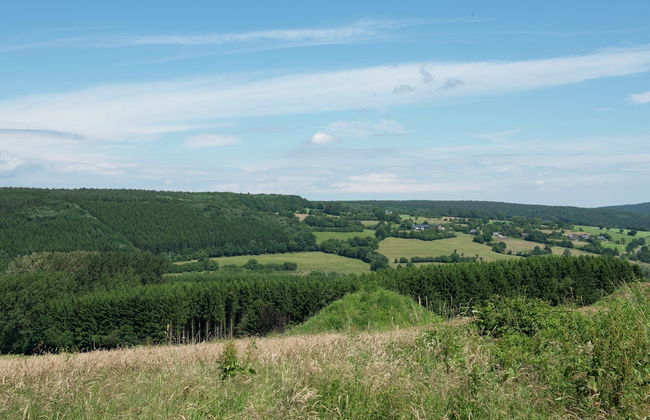 Desnie Farmhouse With Pool - Foto 44