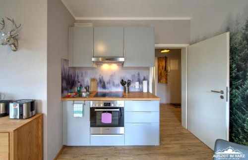 Auszeit-im-Harz Haus 1 Wohnung Wurmberg - Foto 4