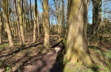 Max's Woodland Lodge - Foto 40