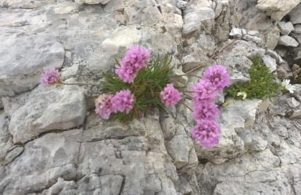 Baita Agaz - Foto 35