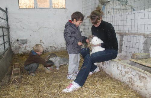 Casa Rural el Ribero I - Photo 46