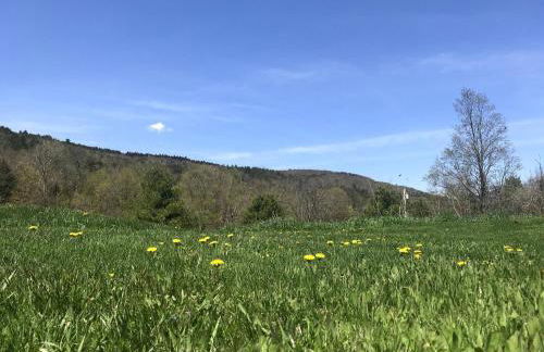 Entire Enchanting, Light-Filled 1830 Farmhouse - Foto 23