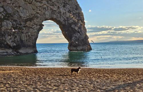 Jurassic Bliss - stylish static caravan with partial sea view at Durdle Door - Foto 32