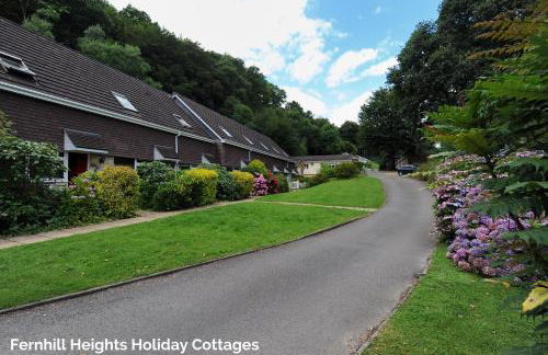 36 Fernhill Heights - Photo 15