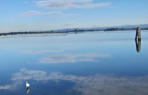 Ca' Savio terramare - Foto 37