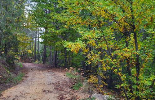 Apartamento Parque Gredos - Photo 21