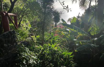 Dazkarizeh73 - Photo 56