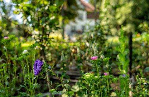 Villa Adam - Foto 20