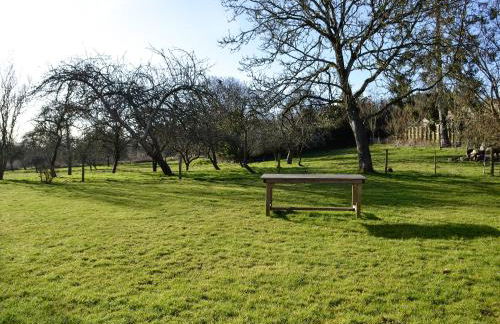 Copper Beech - Photo 12