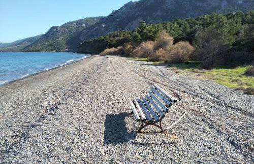 Palm tree house by the beach - Foto 51