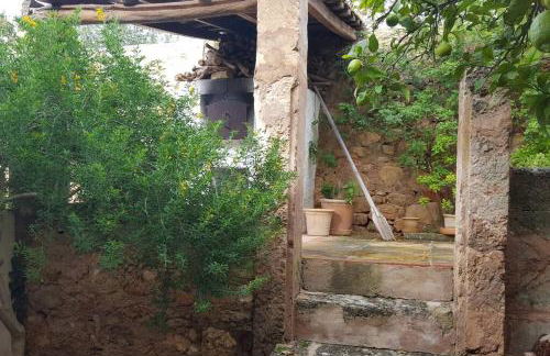 Cas Potecari - Foto 24