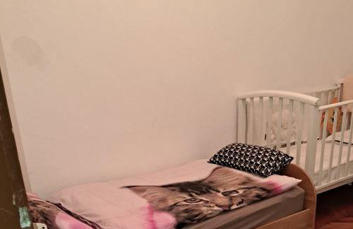 Holiday home "Goga" ruralna kuća - Foto 11