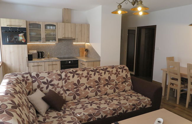 Club Rezidence Pod Lučí Loučovice - Foto 16