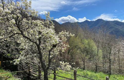 Le Soleil de Flaut Beautiful studio house Nature - Foto 21