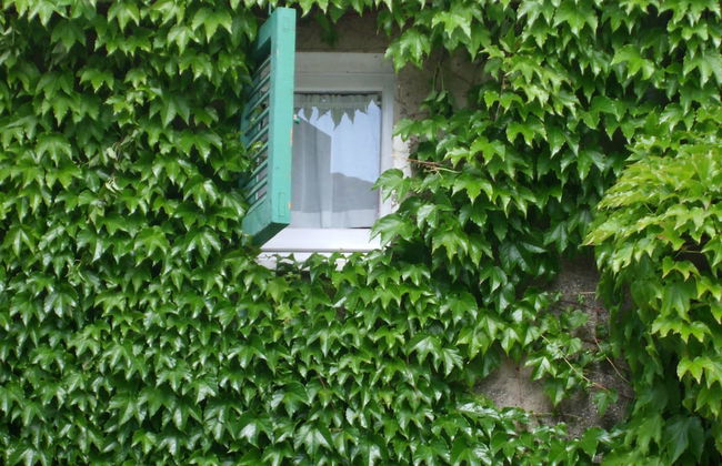 Borgo Cenaioli - Photo 38