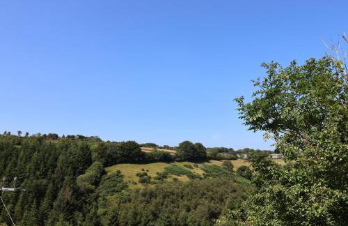 Spring Cottage - Foto 22