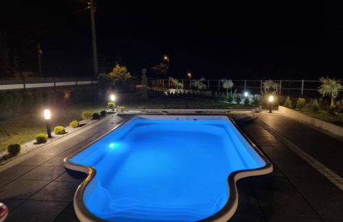 Vigor Horses - Foto 57