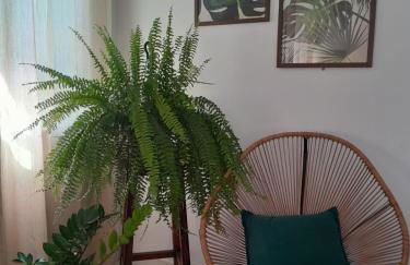 Casa central aconchegante - Foto 14