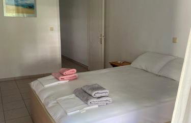 The Big Platanus - Foto 21