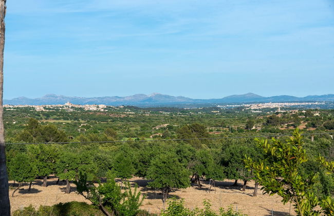 Agroturisme Subies - Photo 7