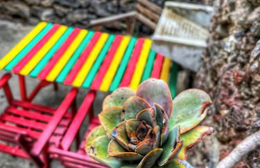 Casa Poesía de El Hierro - Poetry House of El Hierro, situated in the center of El Pinar - Foto 50