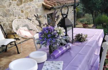 LA CAPANNA Casale in pietra con piscina - Foto 27