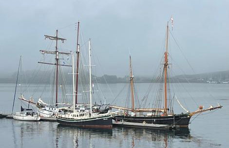 Island View - Foto 22