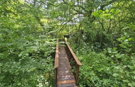 Roseland Valley Retreat - Photo 19