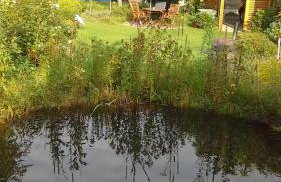 Haselbachstraße 6 - Foto 9