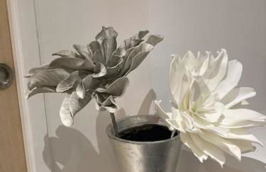 La p’tite maison de locqui - Photo 11