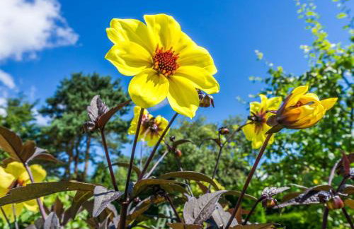 Holiday Home Schönes Ferienhaus in Hastings mit Whirlpool- Terrasse und Garten by Interhome - Foto 73