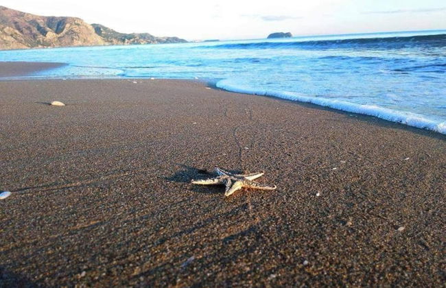 Villa in Zakynthos With Private Pool & Views - Foto 43