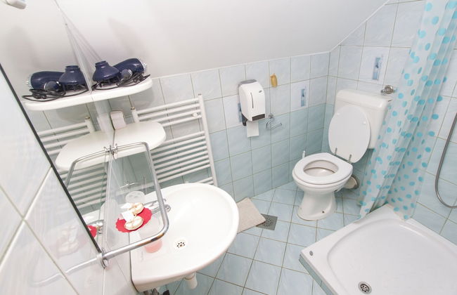 Tourist Farm Pri Martinovih - Foto 45