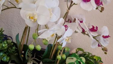 Appartamento Valentinis 74 - Foto 4