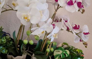 Appartamento Valentinis 74 - Foto 4