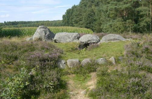 Ferienwohnung Dehnsen - Foto 13