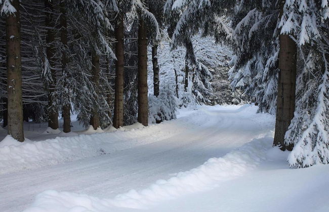 Holiday Complex Erzgebirge Idyll, Breitenbrunn - Foto 29