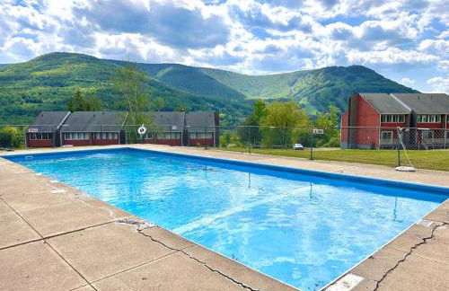 Ski In Ski Out Hunter Mtn Seasonal Pool Access w Panoramic Views Hike Swim Fish Unwind - Foto 19