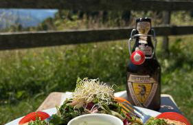 HAUS AM SEE - Natur Pur - Foto 15