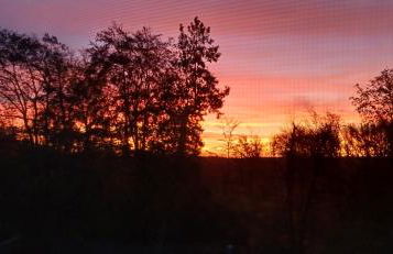 Waldzauber 2 Budget-Apartment - Foto 23