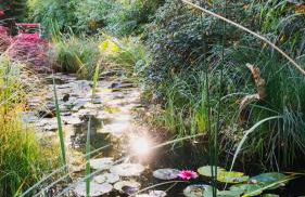 Haus Bullachberg - Foto 28