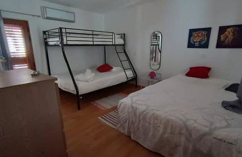 Casa Vinograd - Foto 20