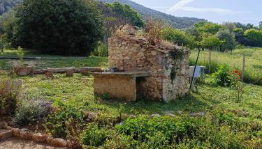 Casaletto in Sabina - Foto 5, Garden