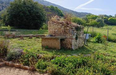 Casaletto in Sabina - Foto 5