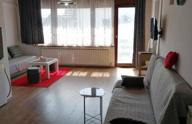 Cozy 1-bdrm apt in Dubec, ideal for work or study - Foto 8