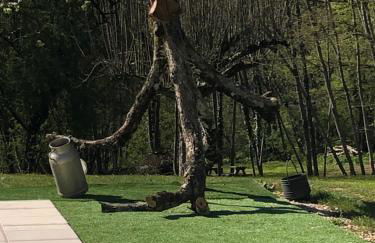 Virolet Barn - Foto 39