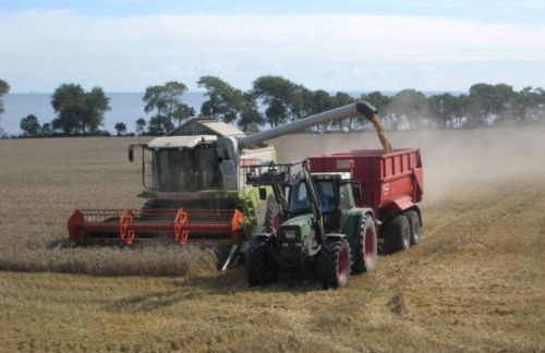 Ferienbauernhof Liesenberg Meerblickhaus Strandmuschel - Foto 63