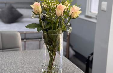 Wend Gardens Studio Carleton Skipton Pet Friendly - Foto 4